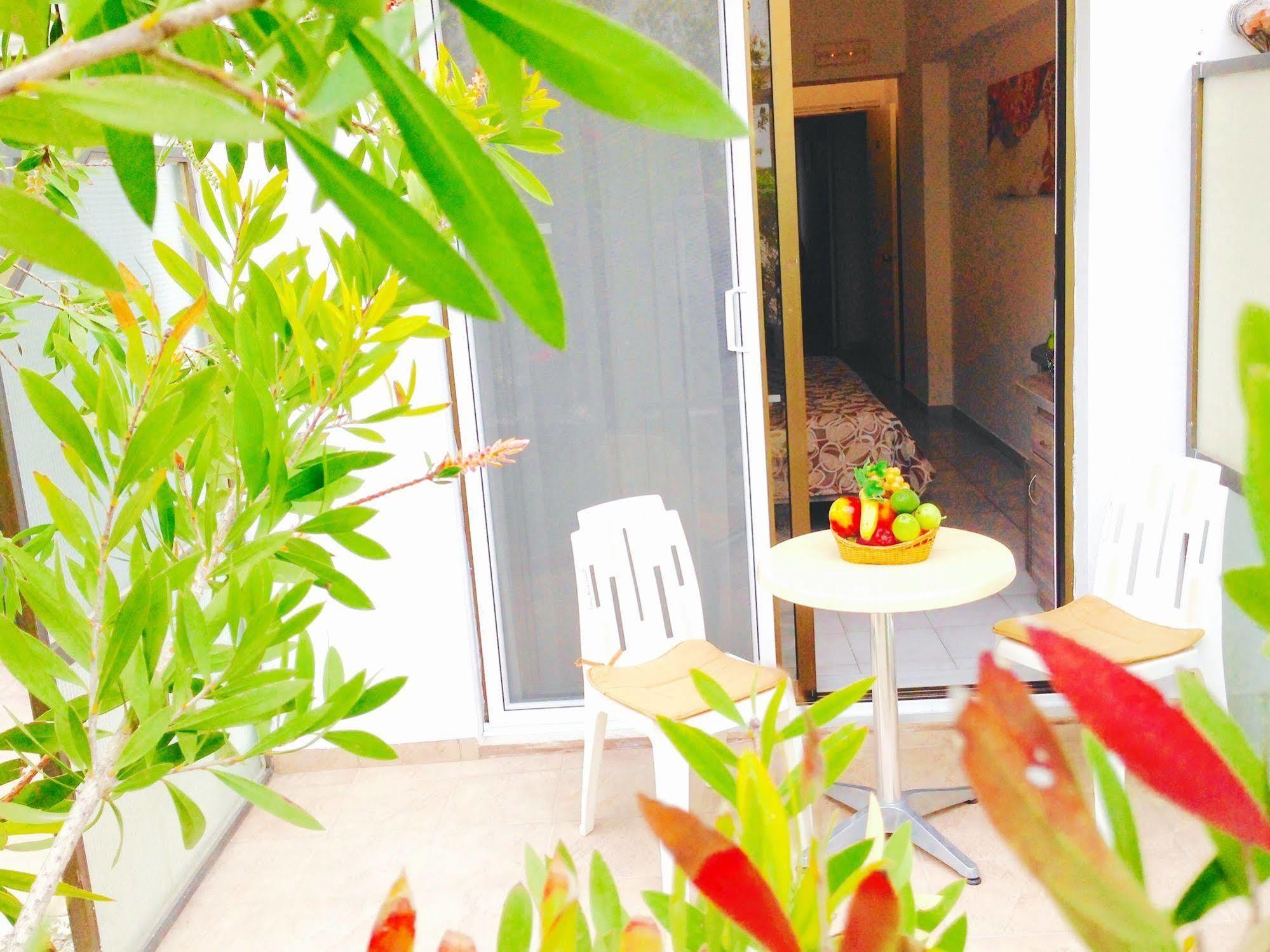 Hippocampus Boutique